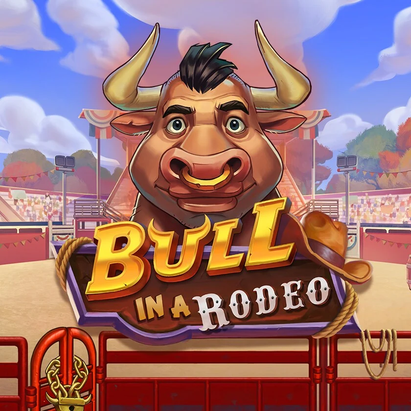 Bull in a Rodeo
